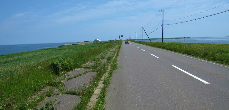 d0031853_22121566.jpg