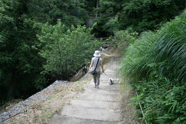 b0137459_2231664.jpg