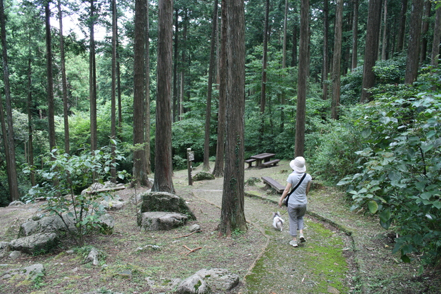 b0137459_226298.jpg