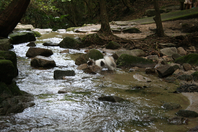 b0137459_2284944.jpg