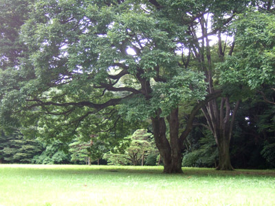 c0011862_8444190.jpg
