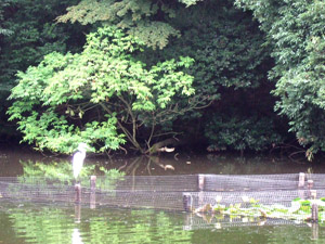 c0011862_8512021.jpg