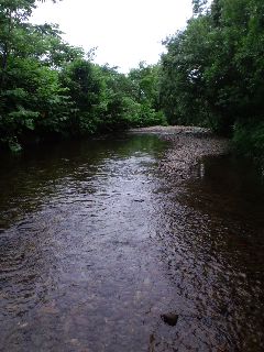 f0037063_13471098.jpg