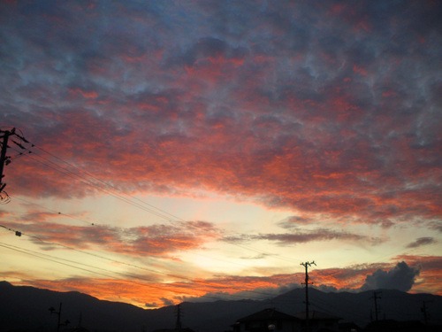 b0125570_10143244.jpg