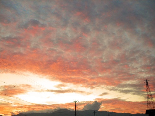 b0125570_10144611.jpg