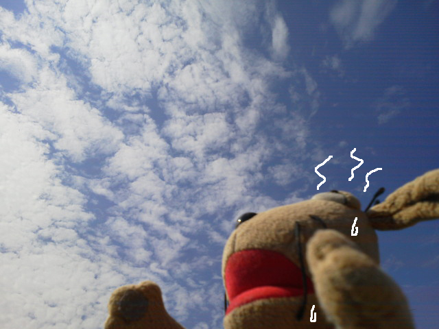 c0158573_10323448.jpg