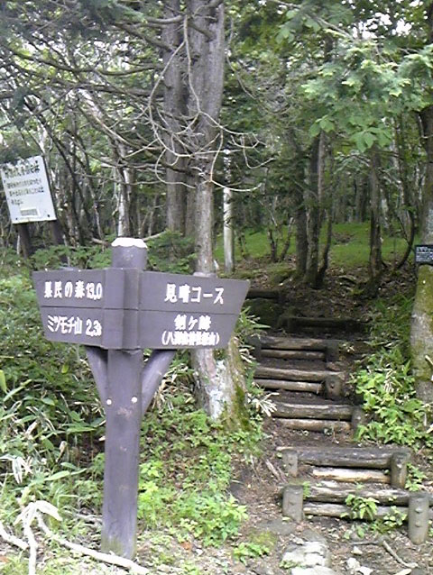e0118274_2004169.jpg