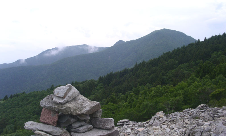 e0118274_20219.jpg
