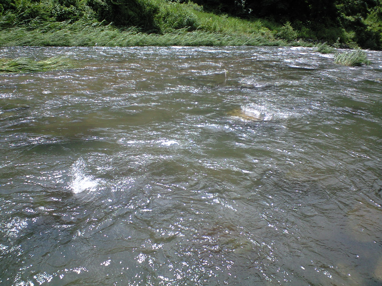 a0093677_11203161.jpg