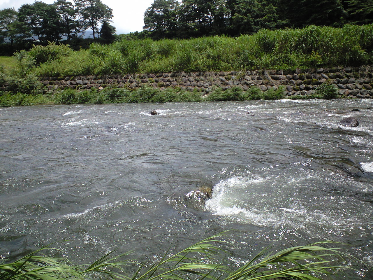 a0093677_11264926.jpg