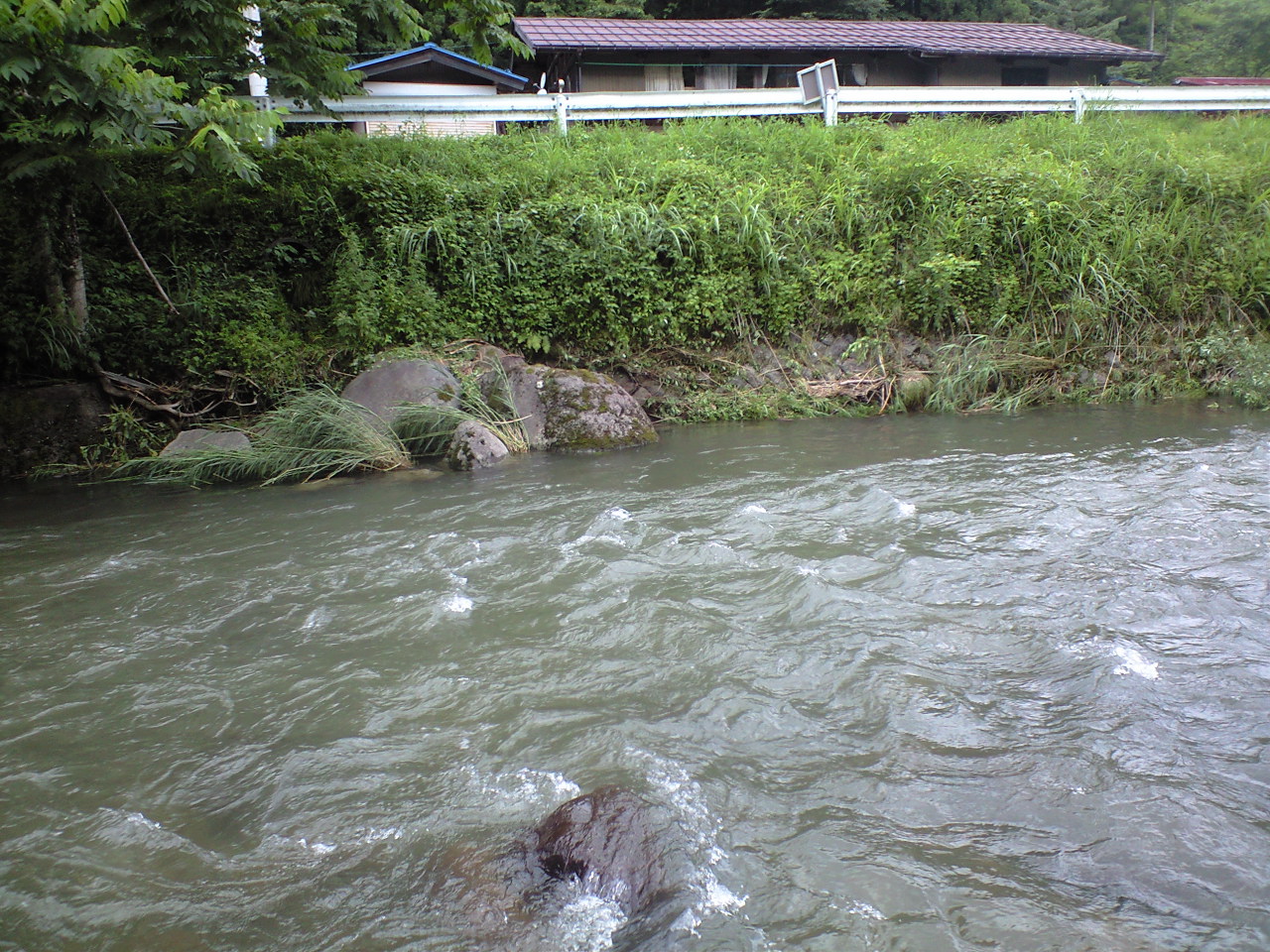 a0093677_1132682.jpg