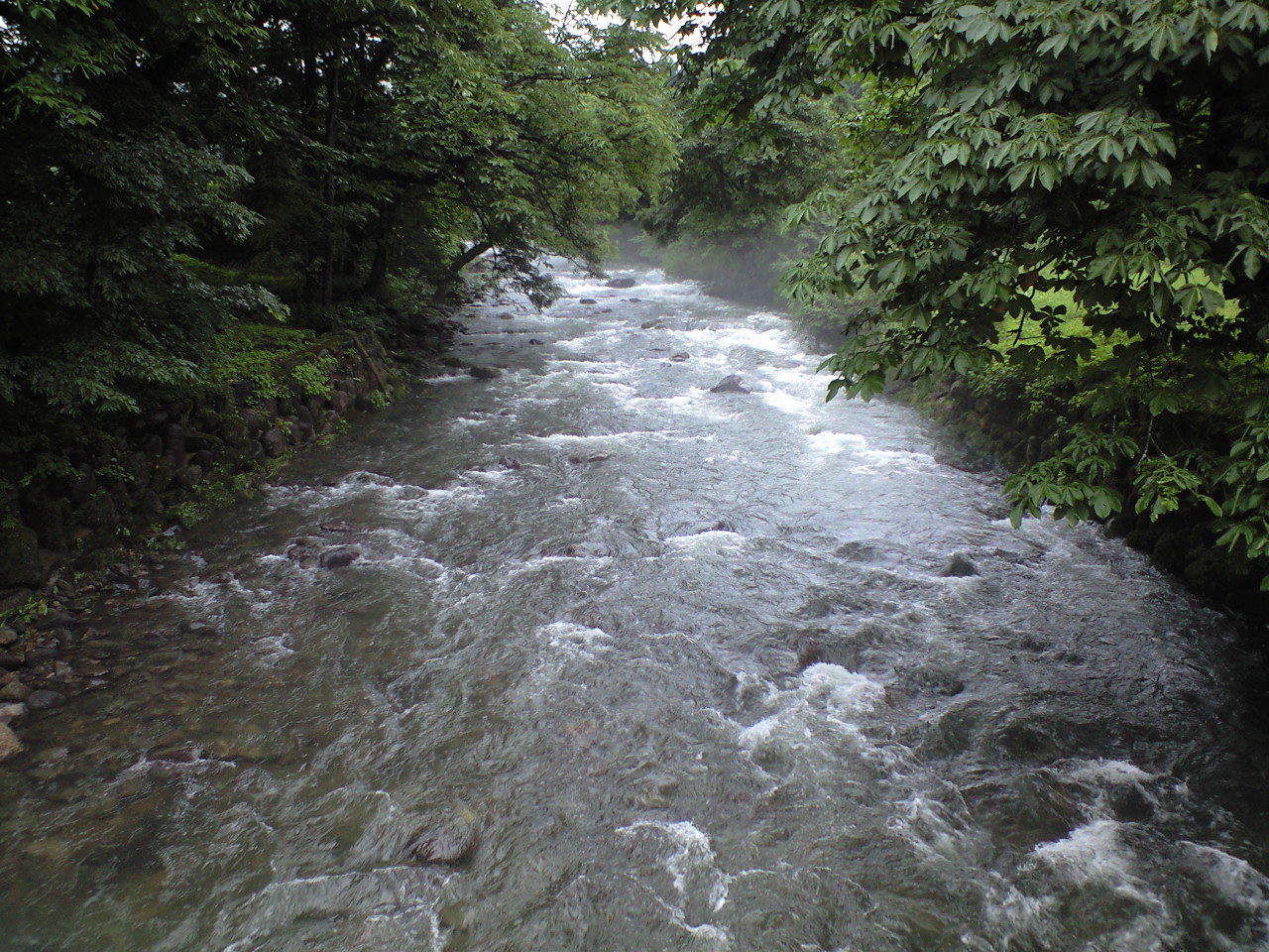 a0093677_1165254.jpg