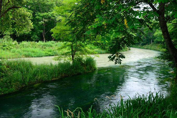 f0108478_17311547.jpg