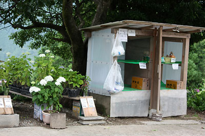 c0152779_1102369.jpg