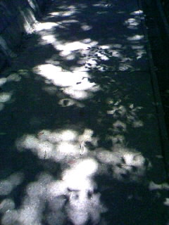 f0100480_17113547.jpg
