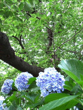 f0039281_16145698.jpg