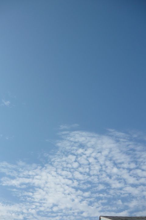 b0202185_263218.jpg