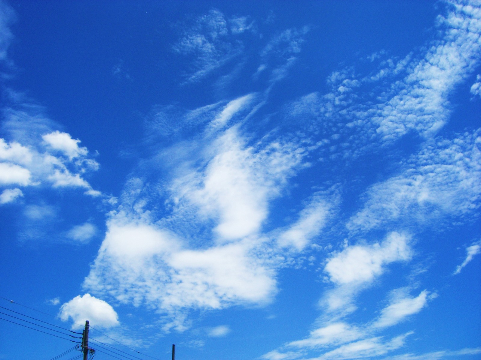b0226386_16325896.jpg