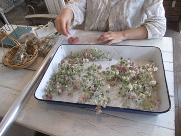 c0146487_1721211.jpg