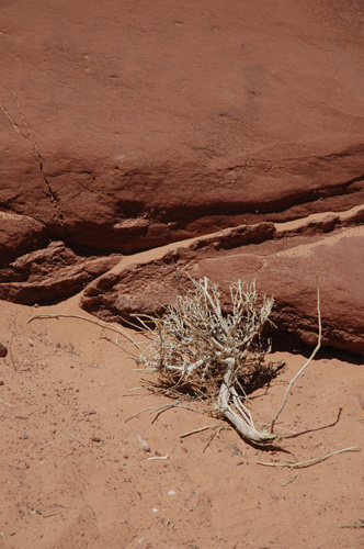 c0026690_036375.jpg