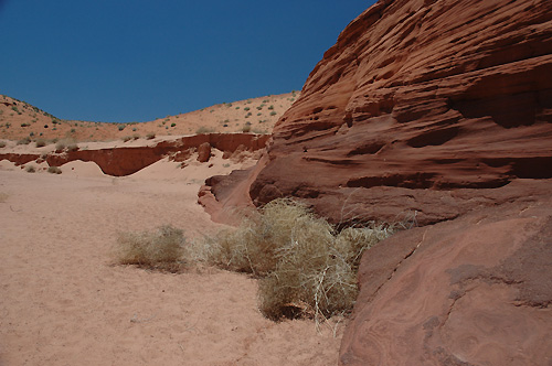 c0026690_040594.jpg