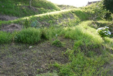 f0222692_1282010.jpg