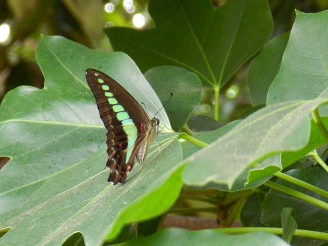b0194593_16253098.jpg