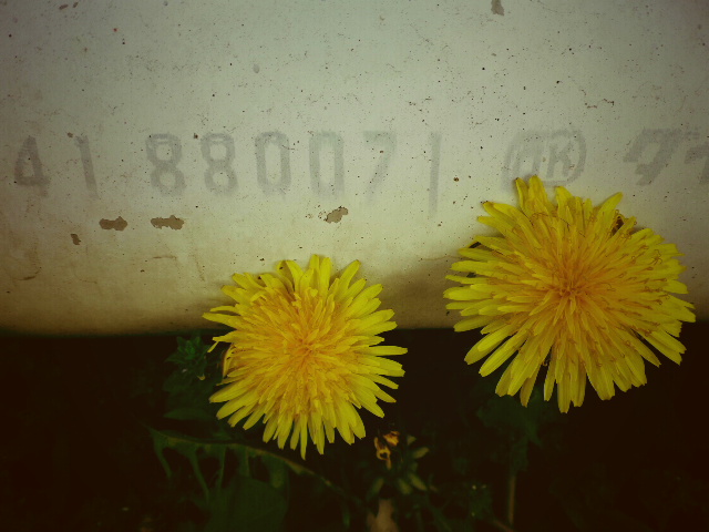d0246595_20462818.jpg