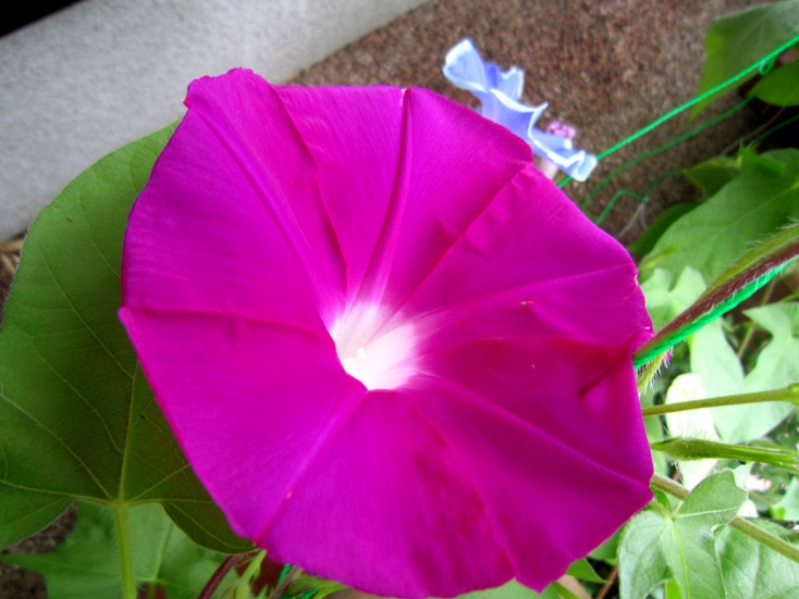 b0192199_217116.jpg