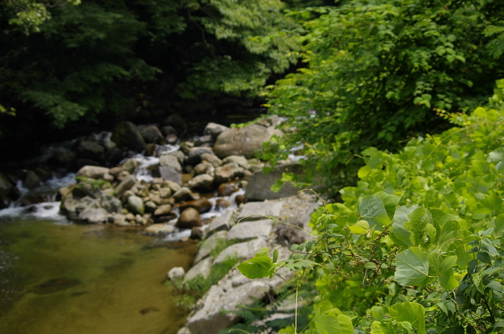 b0138101_18442664.jpg