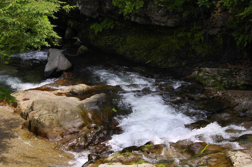 b0138101_18444154.jpg