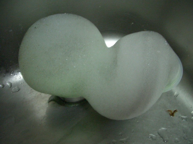 c0029901_10561780.jpg