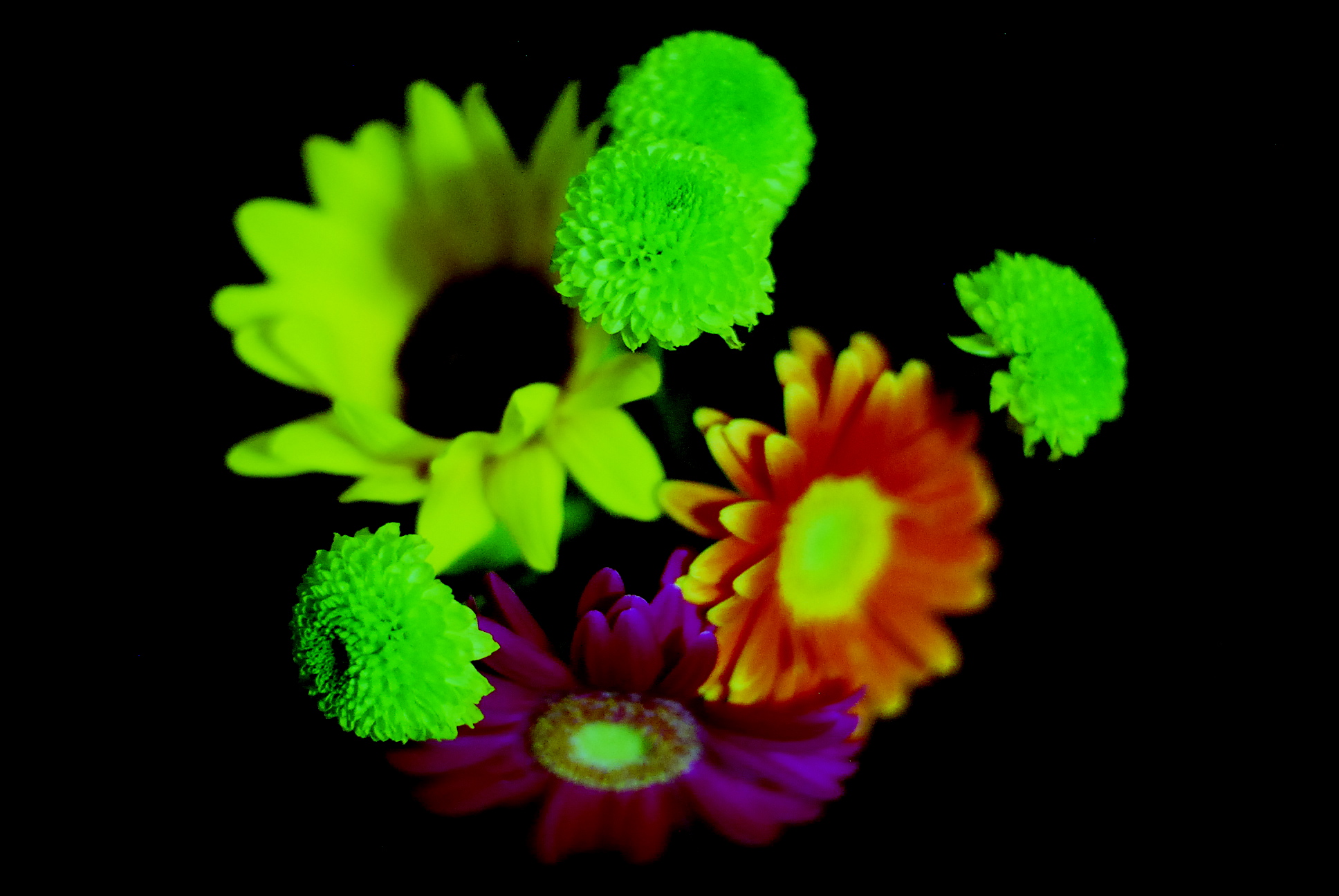 a0157704_148524.jpg