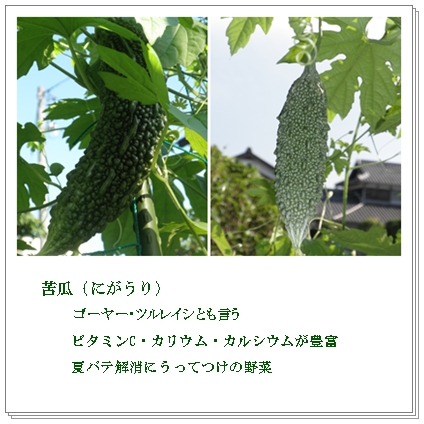 b0229904_22351870.jpg
