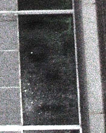 e0103408_1534331.jpg