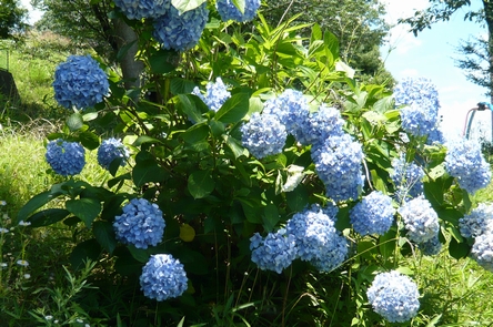 f0221708_21182697.jpg