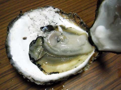 e0177509_21541570.jpg