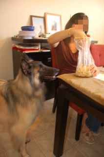 f0227709_7262441.jpg