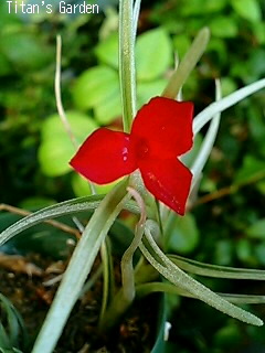 b0099813_054642.jpg