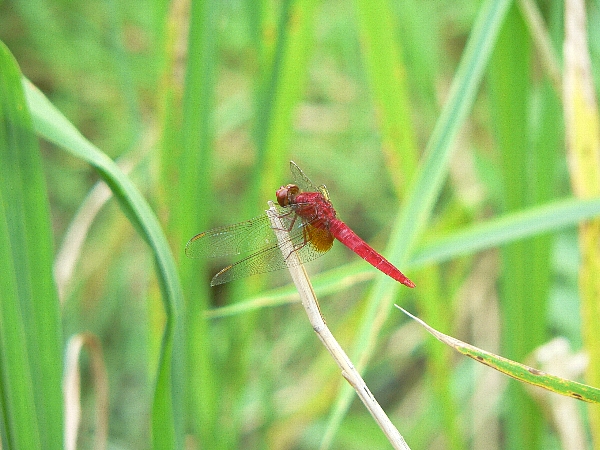 e0002314_22501643.jpg