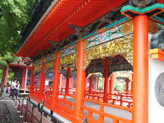 a0157619_23958.jpg
