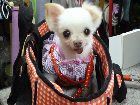 c0150520_237586.jpg