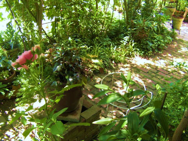 c0204121_1172076.jpg
