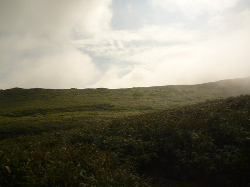 f0028123_13325489.jpg