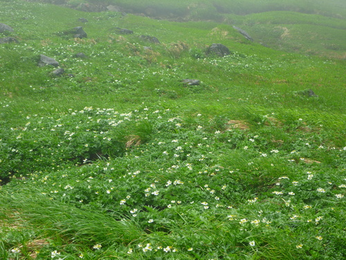 f0028123_13451325.jpg