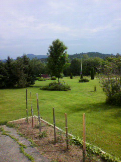 f0036223_5344543.jpg
