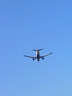 f0036223_69556.jpg
