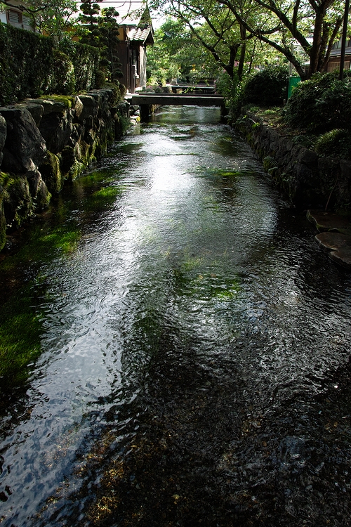 c0198227_213533.jpg