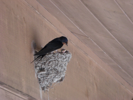 e0077528_221313.jpg