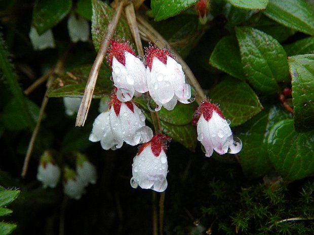 f0118332_0253936.jpg